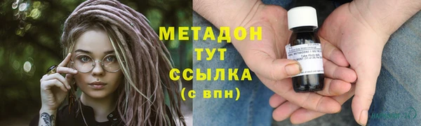 прущие грибы Вяземский