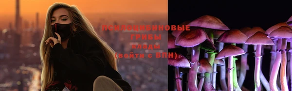 apvp Горно-Алтайск