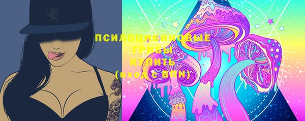 прущие грибы Вяземский