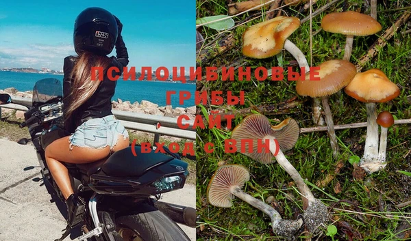 марки nbome Горняк