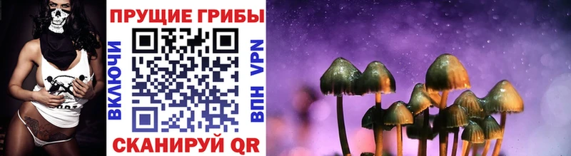 Галлюциногенные грибы Psilocybe  наркотики  Зарайск 
